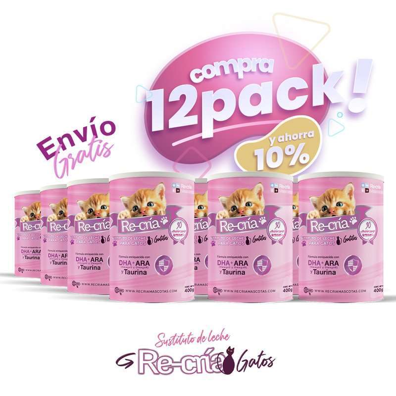 12pack---gatos-color