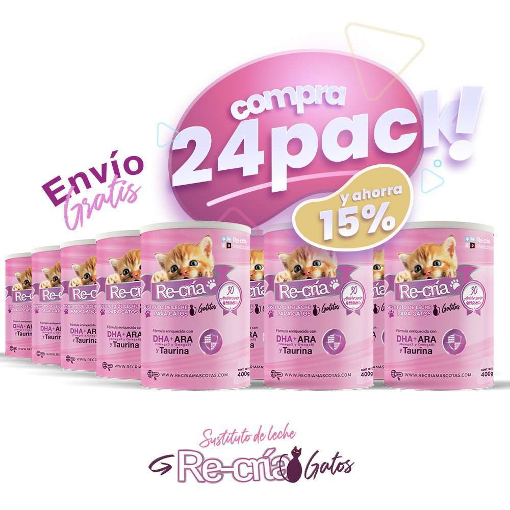 24pack - gatos-