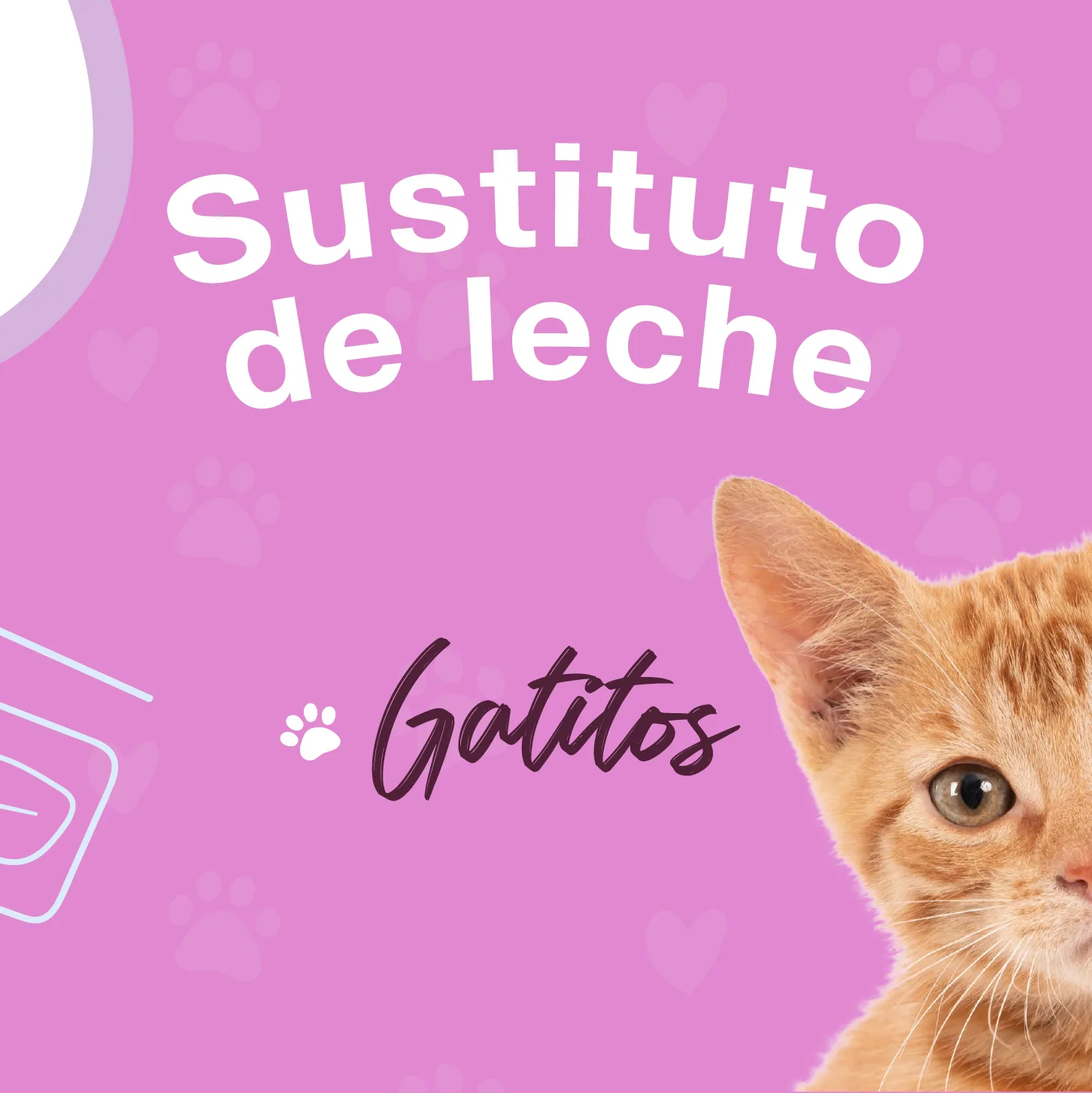 sustituto-de-leche-gatitos Comida para gatos - sustituto de leche Recría Gatitos