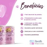 Recria Gatitos - comida ideal para gatos desde recién nacidos y durante toda su vida