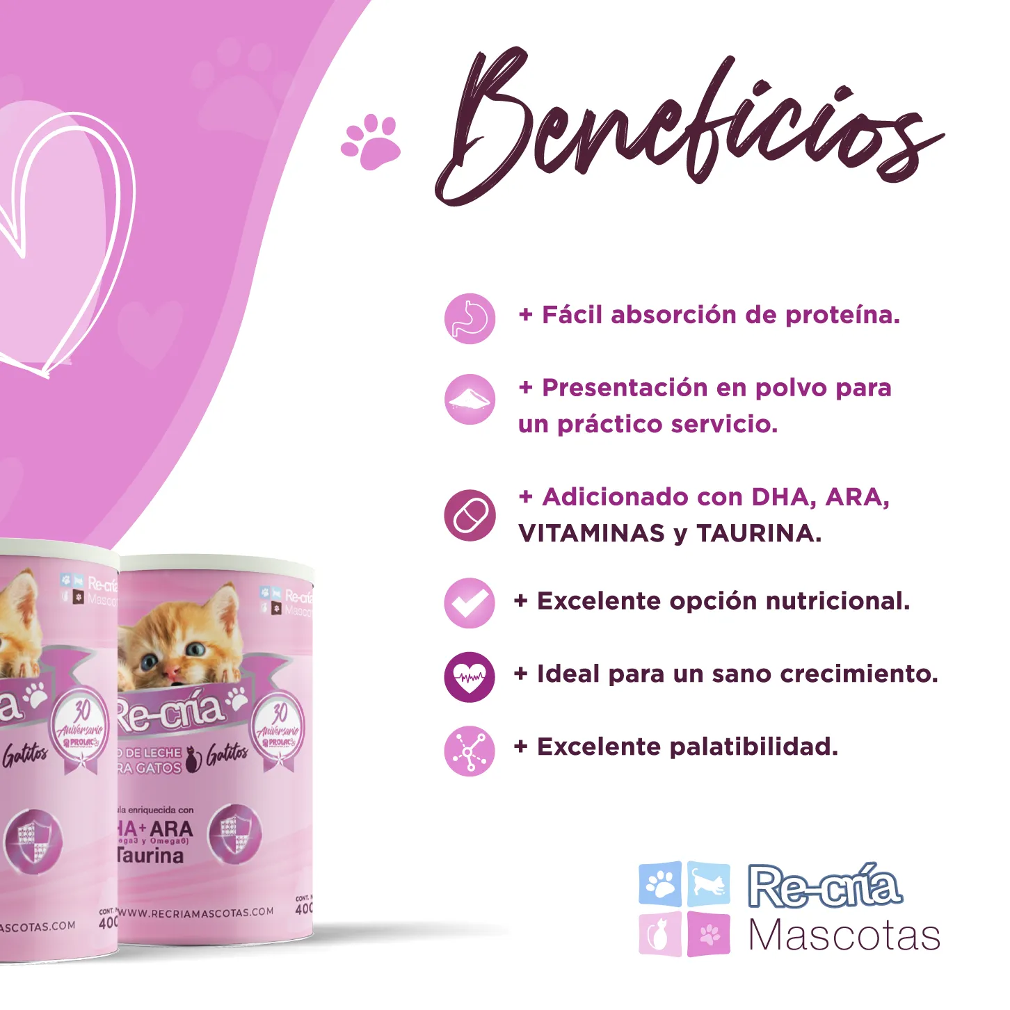 Recria-gatitos-comida-gatos Recria Gatitos - comida ideal para gatos desde recién nacidos y durante toda su vida