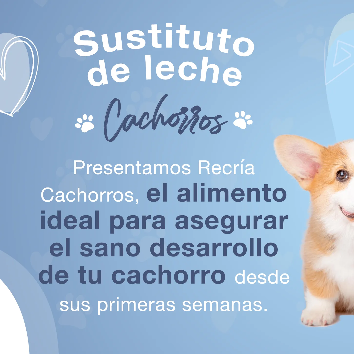 Mascotas-Recria-Cachorros Recría Cachorros - Sustitudo de Leche ideal para cachorritos y para perros adultos