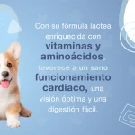 Recría cachorros, comida ideal para cachorros