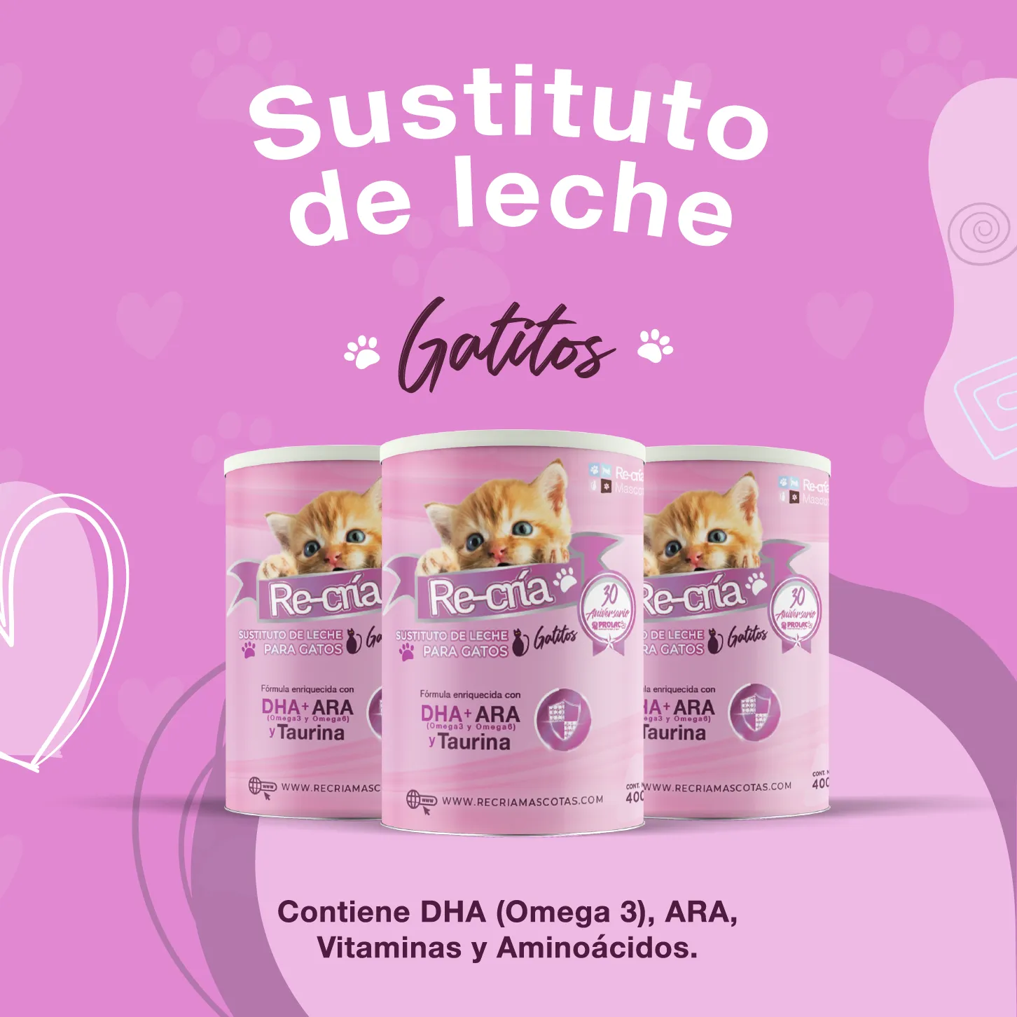 Recria-gatos-sustituto-de-leche Recría Gatitos - Contiene Omega3, ARA, vitaminas y aminoácidos
