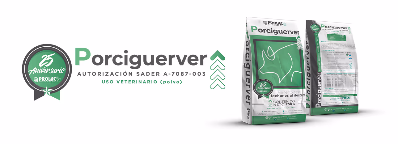 banner-porciguerver banner-porciguerver