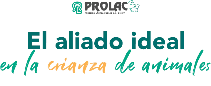 prolac_webAsset 39